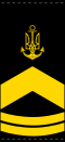 UANs shoulder mark 07.svg