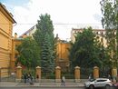 Миллионная 36 сад.jpg