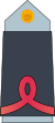 02. AAF-PV1.svg