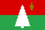 Флаг