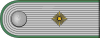 ORPO-Oberleutnant h.svg