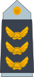 19. AAF-GAF.svg