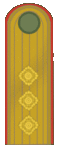 Belarus BKA 1944 parade - Palkoŭnik.gif