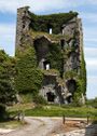 Castles of Munster Ballymarkahan, Clare (2) - geograph.org.uk - 4570420.jpg