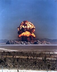 Plumbbob Fizeau 001.jpg