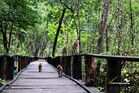 Wildlife Breeding Center, Karamjal, Sundarban.jpg