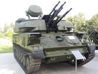 Шилка в парке Победы.jpg