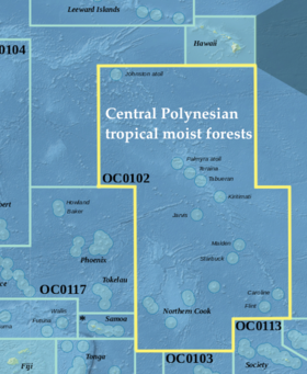 Ecoregion OC0102.png