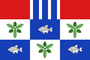 Flag of Matyshevskoe (Volgograd oblast).png