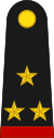 Mexico army OF5.svg