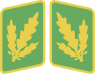 ORPO Generalmajor der Polizei collar tabs 42-45.svg