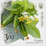 Stamp of Ukraine s1527.jpg