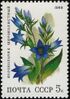 The Soviet Union 1988 CPA 5965 stamp (Deciduous forest flowers. Giant bellflower).jpg