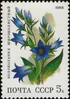 The Soviet Union 1988 CPA 5965 stamp (Deciduous forest flowers. Giant bellflower).jpg