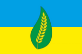 Флаг