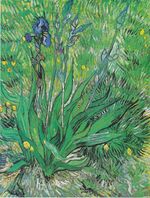 Van Gogh - Iris.jpeg