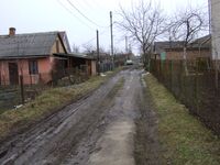 Вулиця Яблунева (Луцьк).jpg