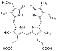 Biliverdin3.svg