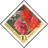 The Soviet Union 1970 CPA 3945 stamp (Phloxes).jpg