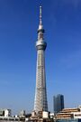 Tokyo Sky Tree 2012.JPG