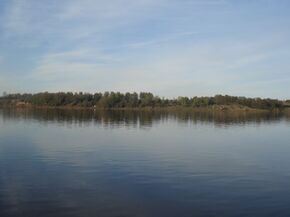 Volga in Tutaevsky District of Yaroslavl Oblast 01.jpg