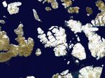 Wfm bathurst island.jpg