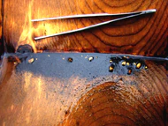 Золото в лотке2.jpg