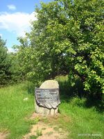 Памятный камень.Почитайте надпись^ - panoramio.jpg