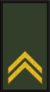 ANA PFC.png