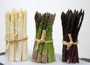 Aceera Nederlandse asperge wit groen paars 363 2416.jpg