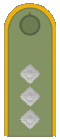 Belarus BKA 1944 everyday - starshiy serzhant.gif