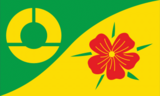 Флаг