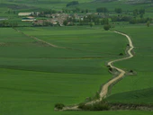 Орнильос-дель-Камино