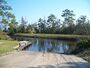 Ochlockonee River SP river05.jpg