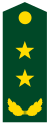 PLA Lieutenant General.svg