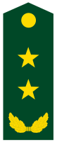 PLA Lieutenant General.svg