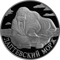 RR5109-0037R Лаптевский морж.png