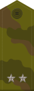 Russia-Army-OF-1b-camo.svg