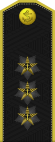 Russia-Navy-OF-8-1994-everyday.svg
