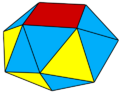 Snub square antiprism colored.png