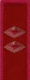 петлица 1924
