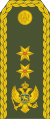 17-Montenegro Army-MG.svg