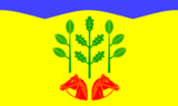 Флаг