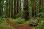 Hendy Woods State Park.jpg