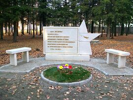 Памятник курсантам Сталинградского училища военных летчиков. Город Обь Новосибирской области. Установлен недавно.