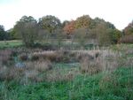 Patmore Heath - geograph.org.uk - 82806.jpg