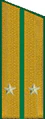 погоны 1956