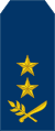 15-Nicaragua Air Force-MG.svg