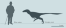 2 Fig 2 Vectiraptor silhouette-01.tif