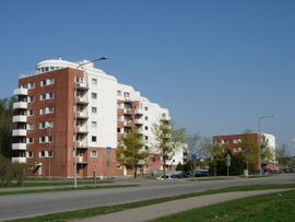 TYS, Päivänpaiste.jpg